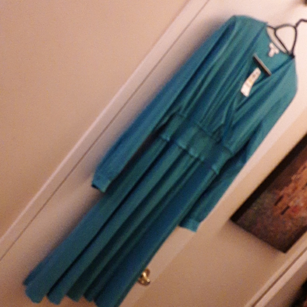 BRAND NEW fit and flare dress